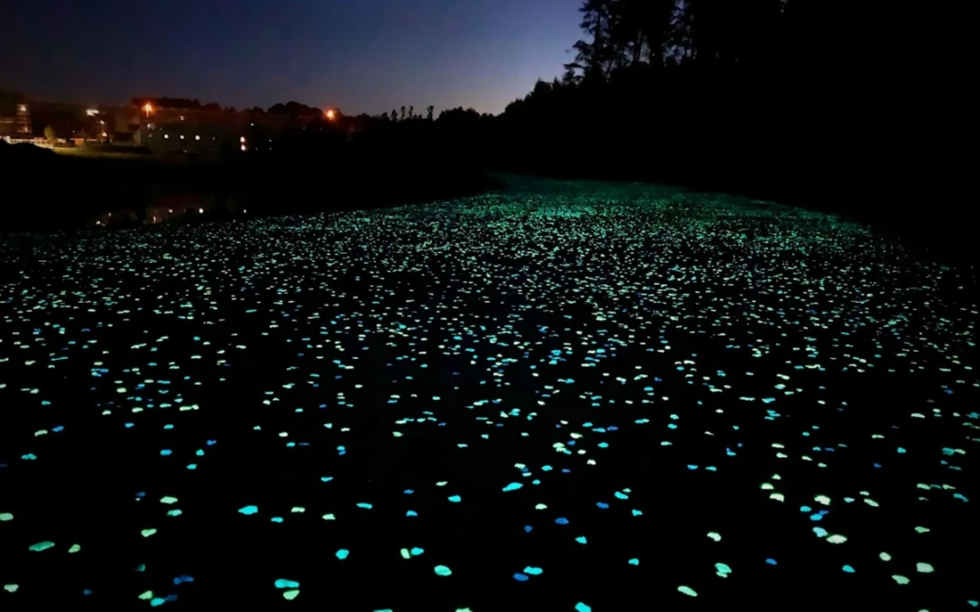 Chemin de nuit dans lequel ont été intégré des granulats luminescents qui restituent la lumière captée durant la journée