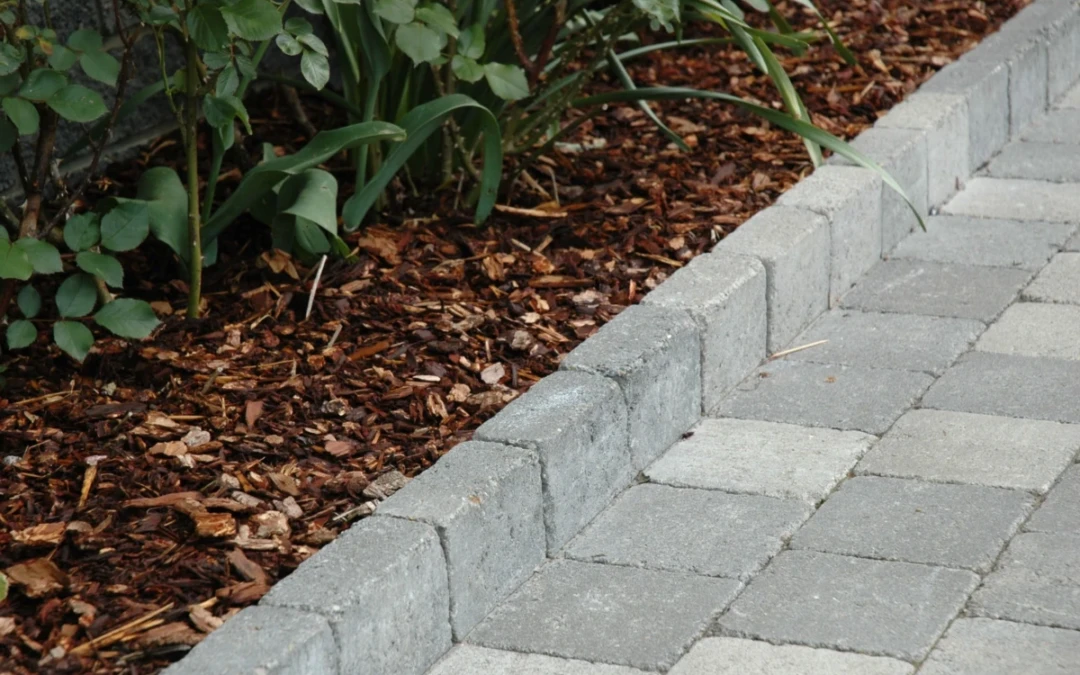 Pavé béton anti mauvaises herbes Mon Pavé
