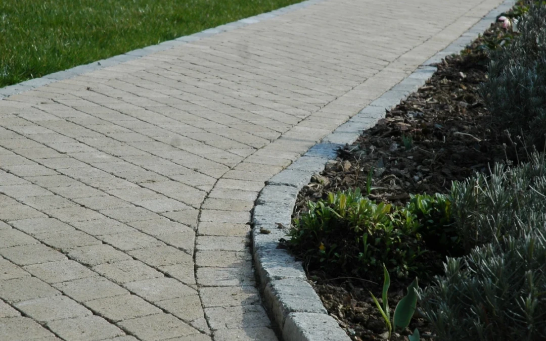 Allée de pavés rustiques bordée d'herbe et d'un espace de plantation.