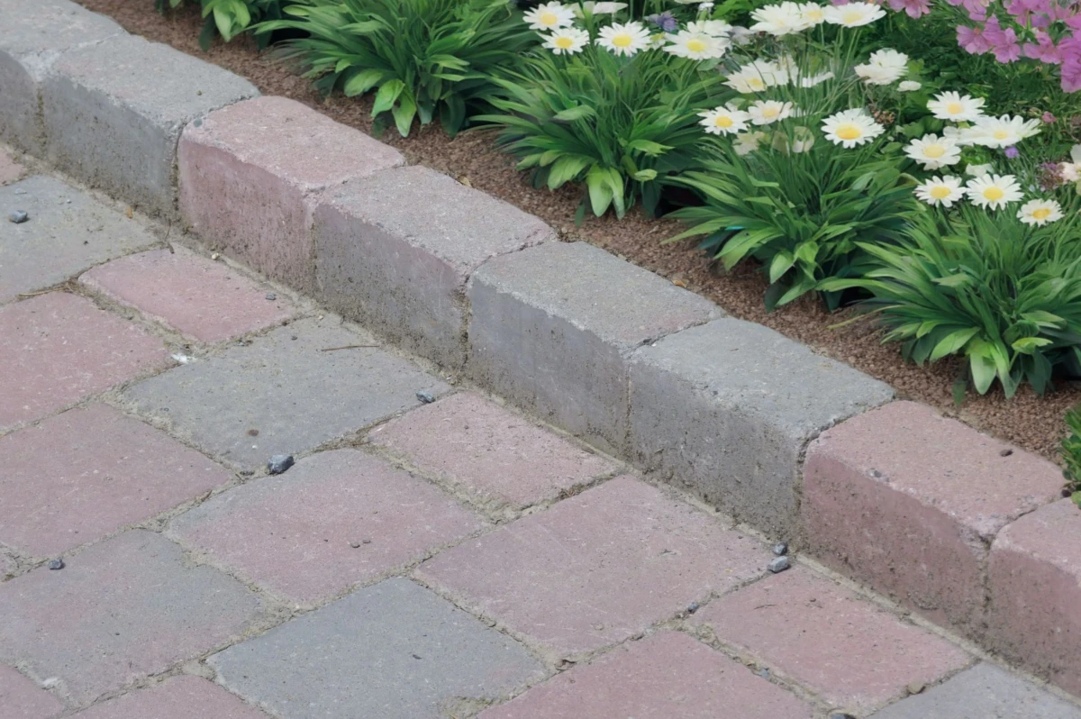 pavage-avec-bordure allée de pavé avec bordure la délimitant d'un parterre de fleurs